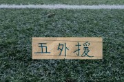 开云正版应用-月底跟大连英博第16轮联赛 申花能凑齐五个外援吗？